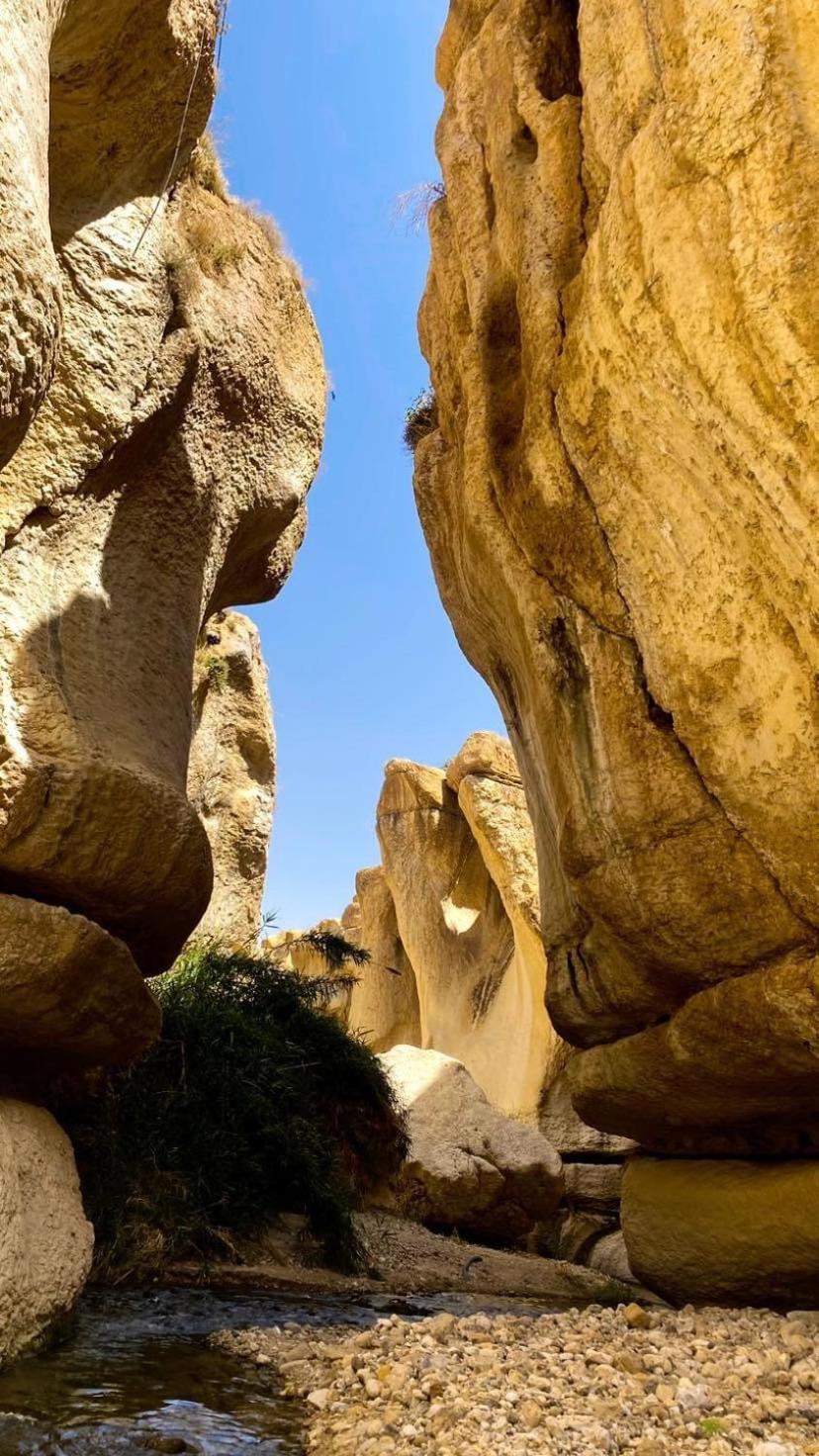 Wadi Al-Hassa Camp Ξενοδοχείο Khawkhah Εξωτερικό φωτογραφία