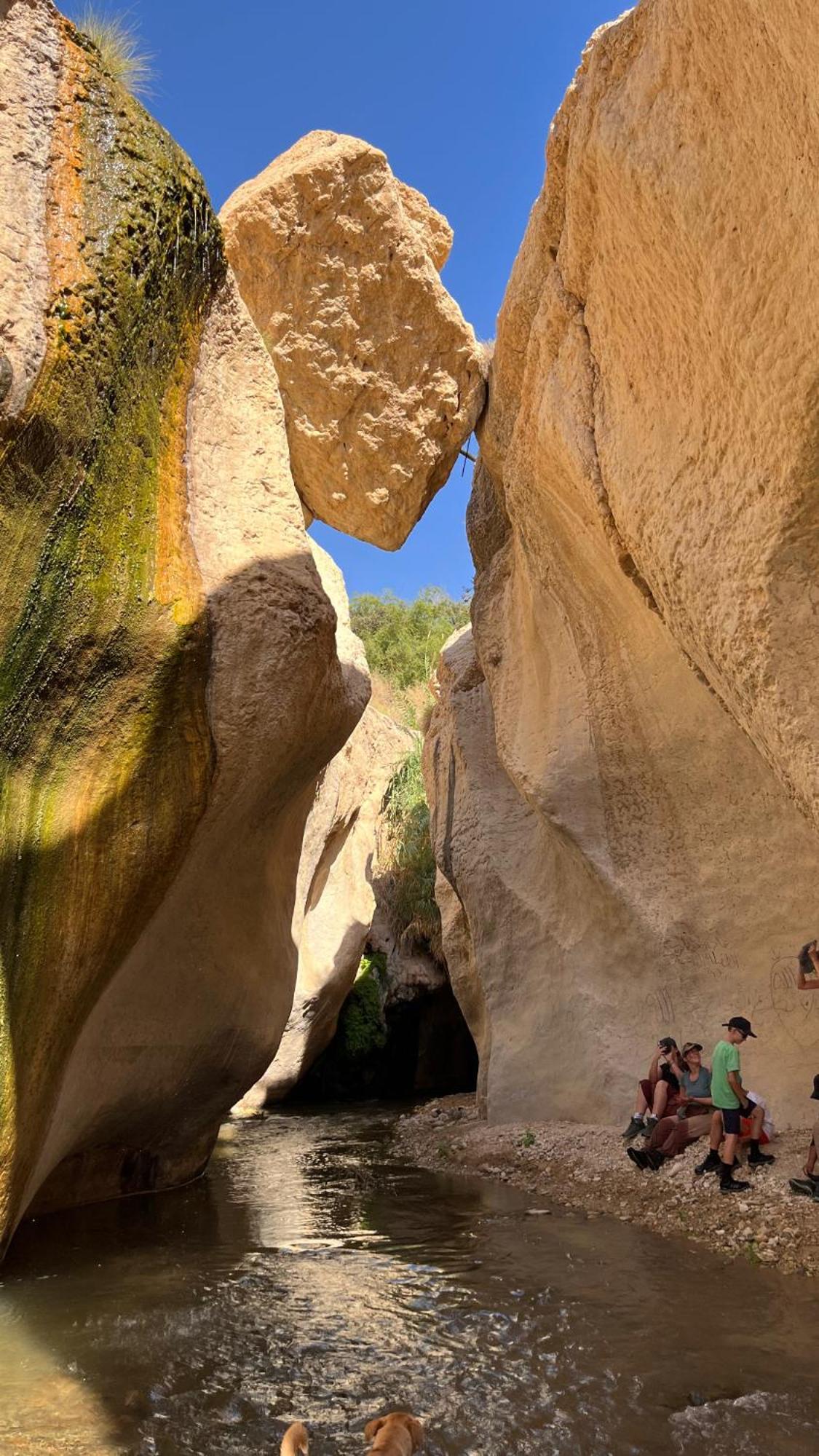 Wadi Al-Hassa Camp Ξενοδοχείο Khawkhah Εξωτερικό φωτογραφία