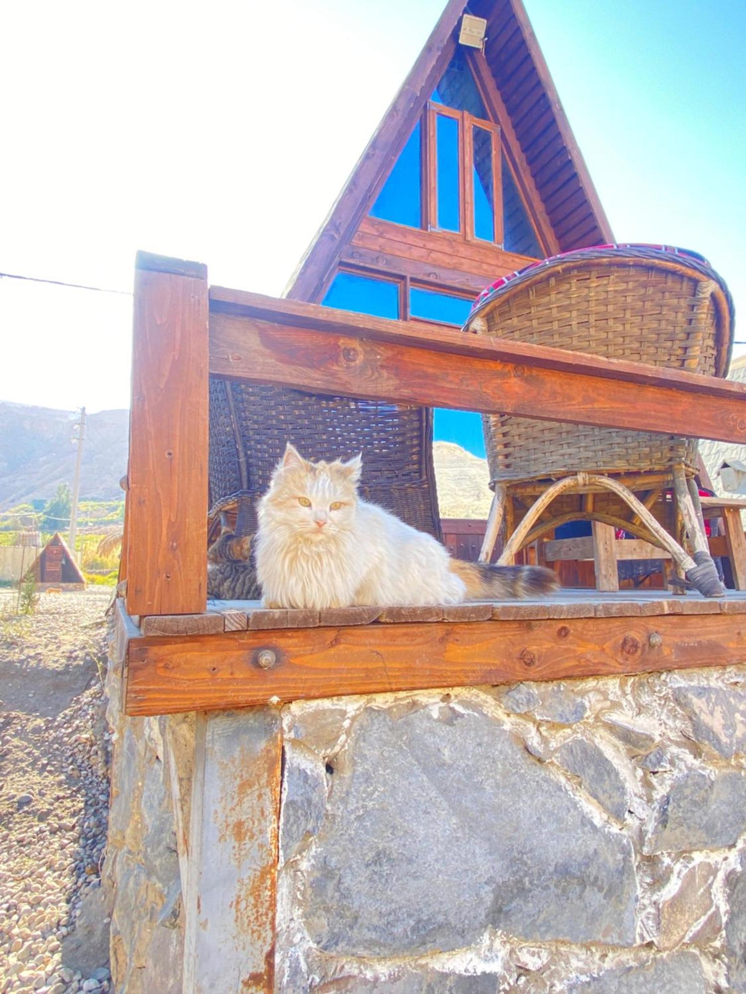 Wadi Al-Hassa Camp Ξενοδοχείο Khawkhah Εξωτερικό φωτογραφία